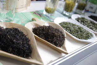 超贊！中山扶貧展銷會圓滿落幕，300余種特色農產品備受青睞，食用農產品初加工成焦點
