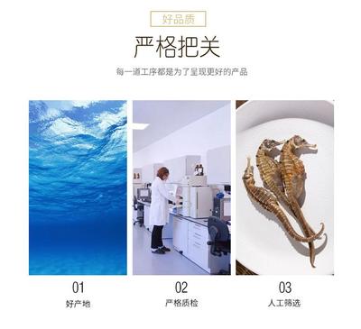 傳統(tǒng)滋補與現(xiàn)代工藝的融合 干無增重海馬湯料與古方泡酒的養(yǎng)生之道
