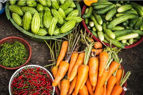 2020關鍵年 探索他國生態循環農業模式，深化食用農產品初加工發展
